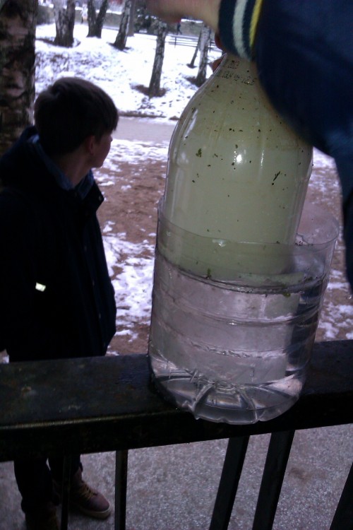 IMAG0327.jpg