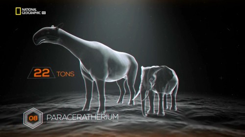 20160627-185019.jpg