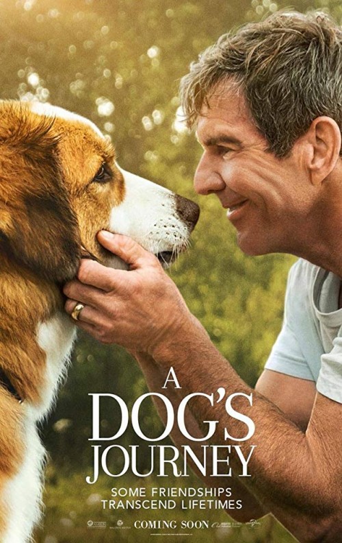 A-Dogs-Journey-Psi-poslani-2-2019.jpg