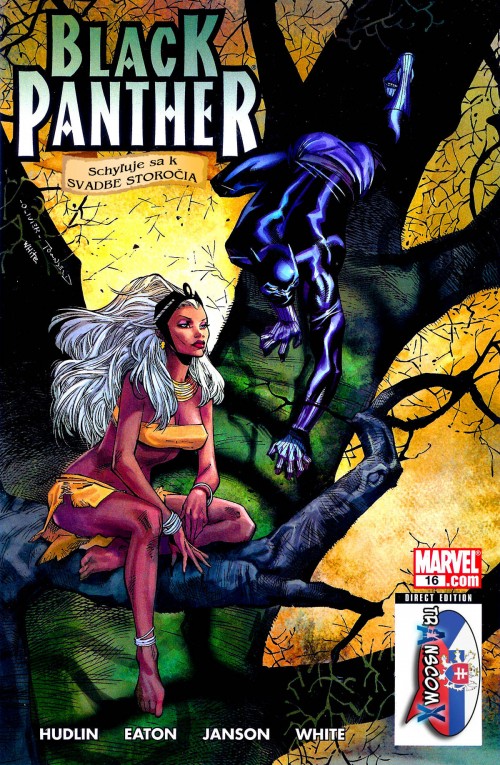 Black-Panther-16_01.jpg