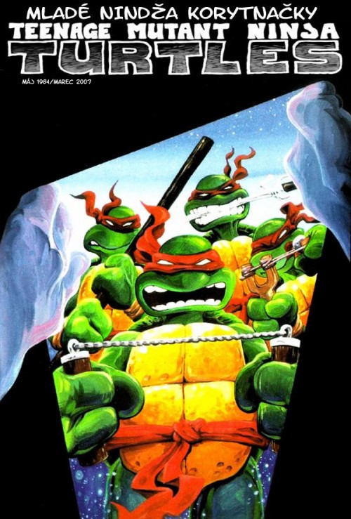 Teenage-Mutant-Ninja-Turtles-01.jpg