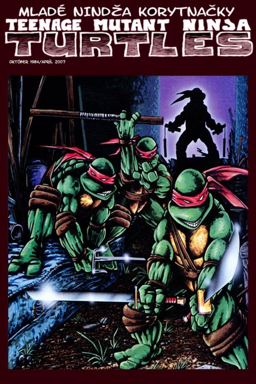 Teenage-Mutant-Ninja-Turtles-04.jpg