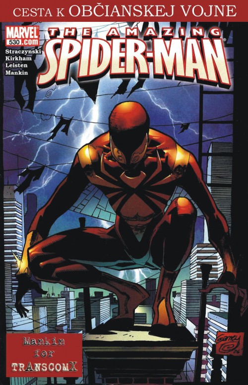 Amazing.Spider-Man.530sk_00.jpg
