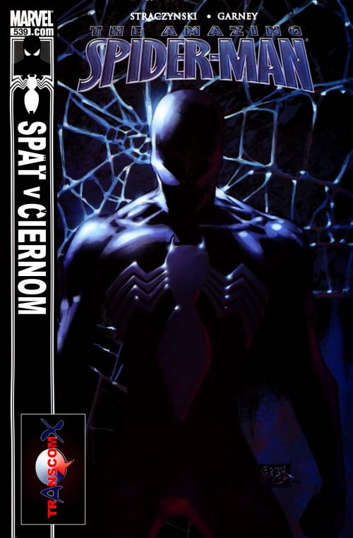 Amazing.Spider-Man.539sk_01.jpg