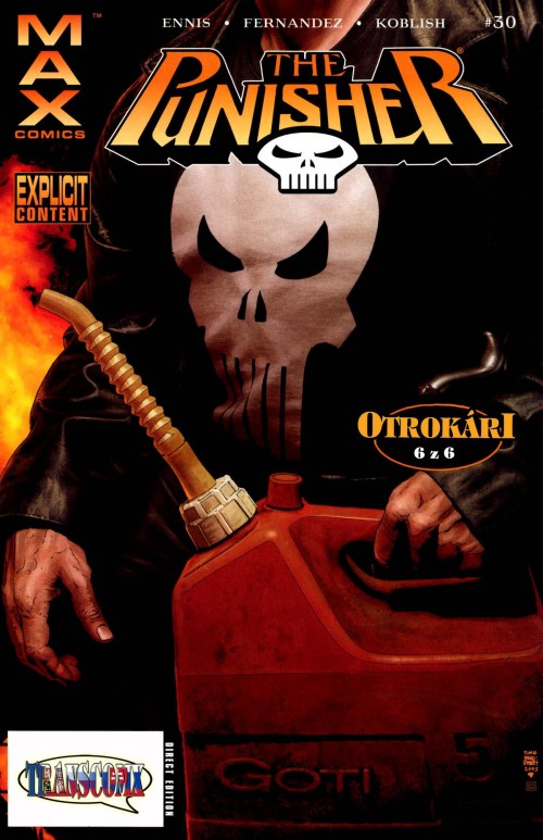 punisher_v5_030_cover.jpg