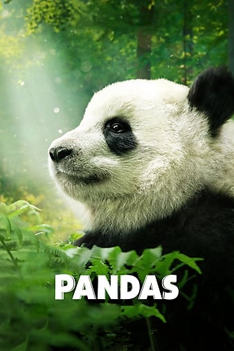 poster_opt12a951ea14f4f4ff.jpg