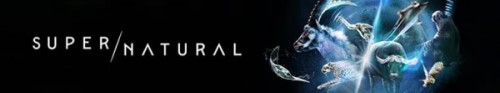 371603_banner_optimized.jpg