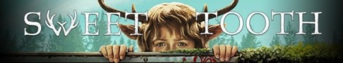 358968_banner_optimized.jpg