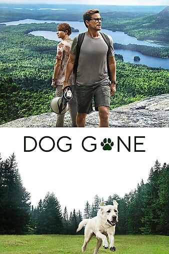 poster_opt.jpg