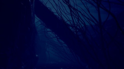 ss_f43b2cc16053b8c8c6a8455b35f5f06c68dd96ca.600x338.jpg