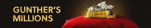 376120_banner_optimized.jpg