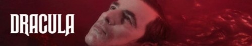 344873_banner_optimized.jpg