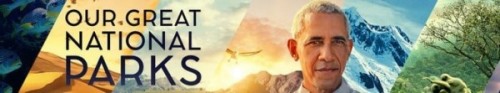 368347_banner_optimized.jpg