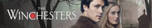 371160_banner_optimized.jpg
