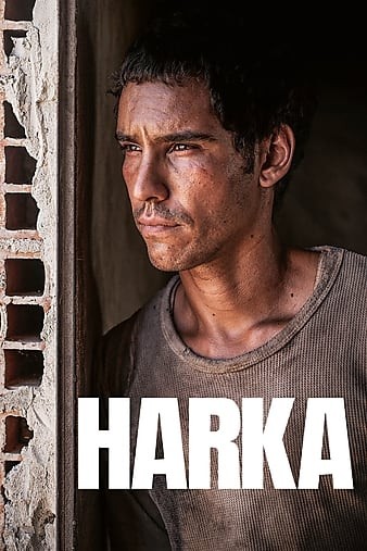 poster_opt9578816c19f39c7e.jpg