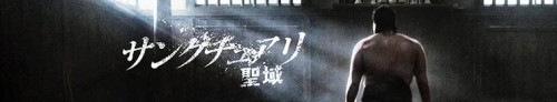 378786_banner_optimized.jpg
