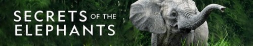 378417_banner_optimized.jpg