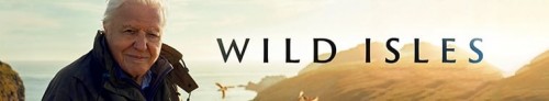 377196_banner_optimized.jpg