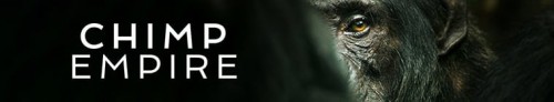 378297_banner_optimized.jpg