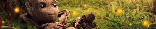 tmpbanner5543.jpg