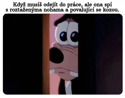 1000046610.jpg