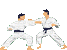 Dzudo.gif