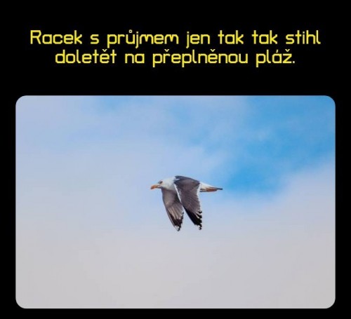 1000094413.jpg