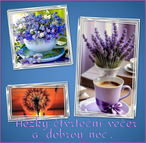 vn7b.png
