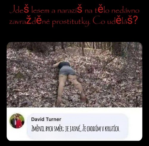 1000097165.jpg