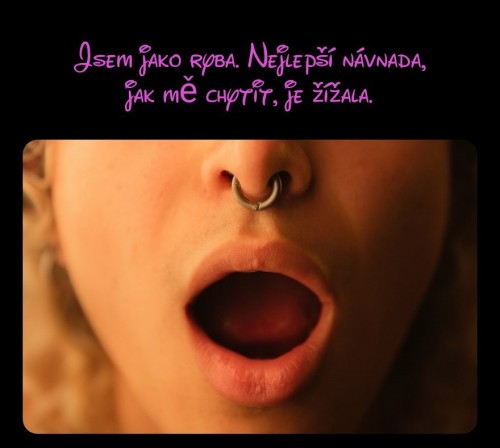 1000106624.jpg