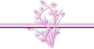 B5b.png