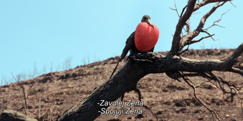 img00003.png
