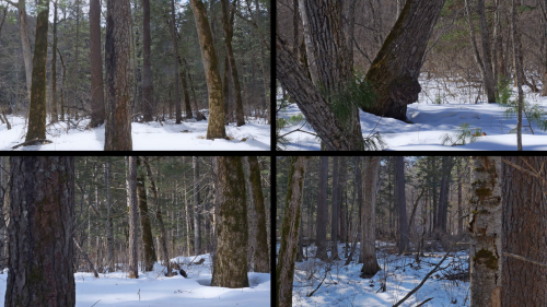 img000029cb48a7ed22a7929.png