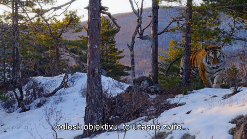 img00006.png